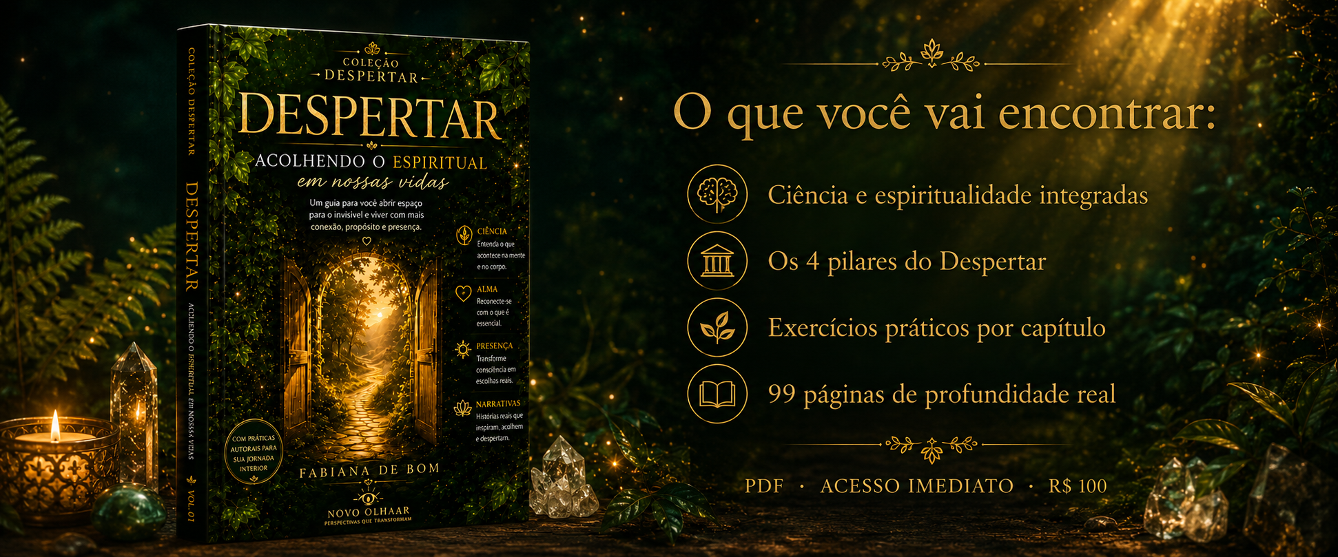 O que você vai encontrar